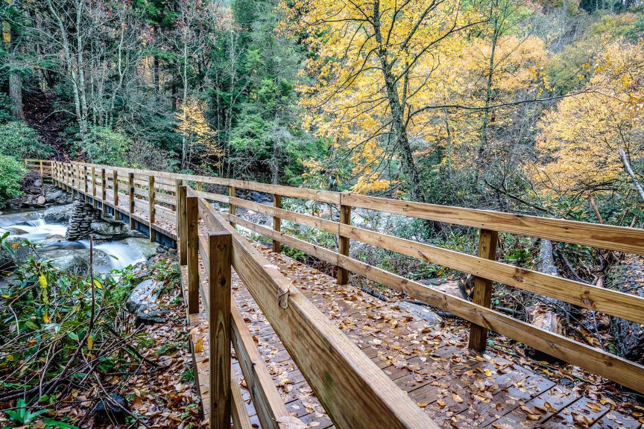 City Bear, 2Br, Pool, Spa, Downtown Gatlinburg, Sleeps 6 Apartamento Exterior foto